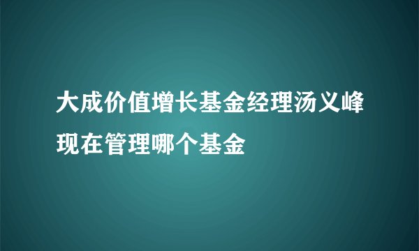 大成价值增长基金经理汤义峰现在管理哪个基金