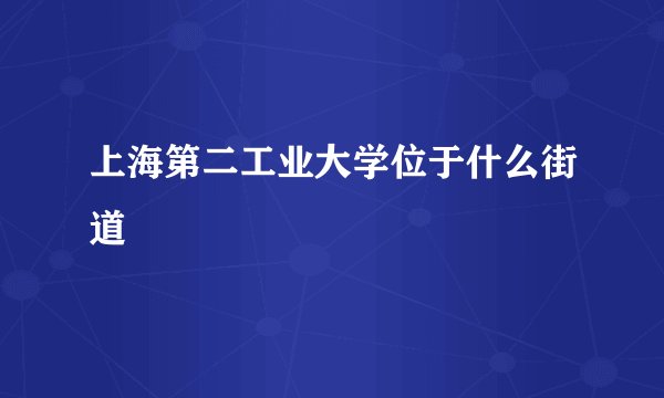 上海第二工业大学位于什么街道