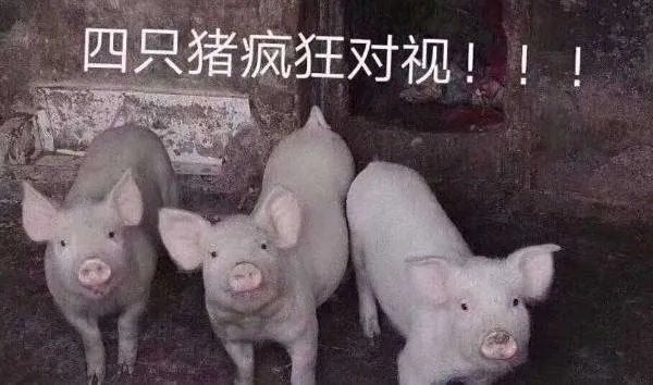 神探狄仁杰里的李元芳的武功究竟有多高?