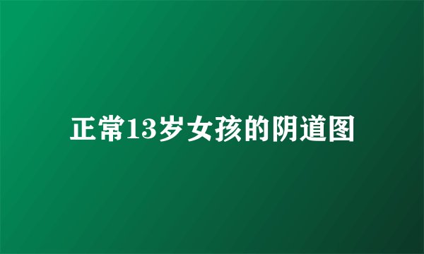 正常13岁女孩的阴道图