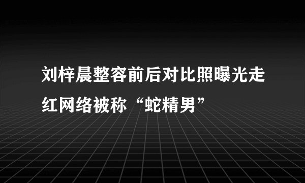 刘梓晨整容前后对比照曝光走红网络被称“蛇精男”