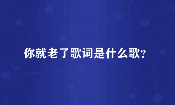 你就老了歌词是什么歌？