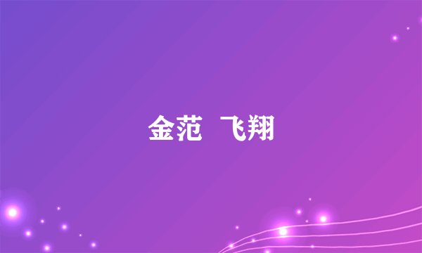 金范  飞翔