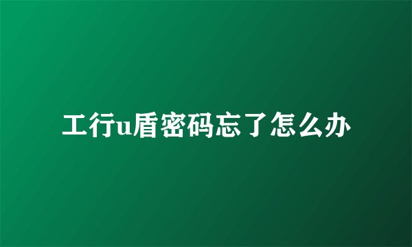 工行u盾密码忘了怎么办
