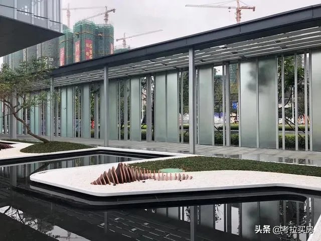 有谁可以帮助分析分析,惠州的中洲半岛城邦的房子特征麽?