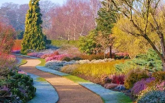 原创:花境按植物材料的分类及各自优缺点