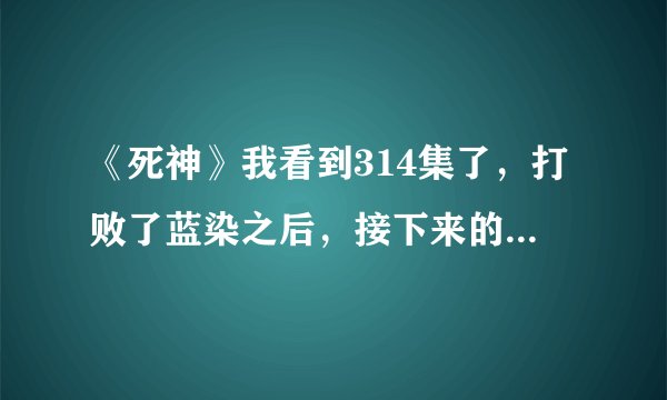 《死神》我看到314集了，打败了蓝染之后，接下来的剧情是什么呀？ 感觉像是主要的故事讲完了，再没什么了