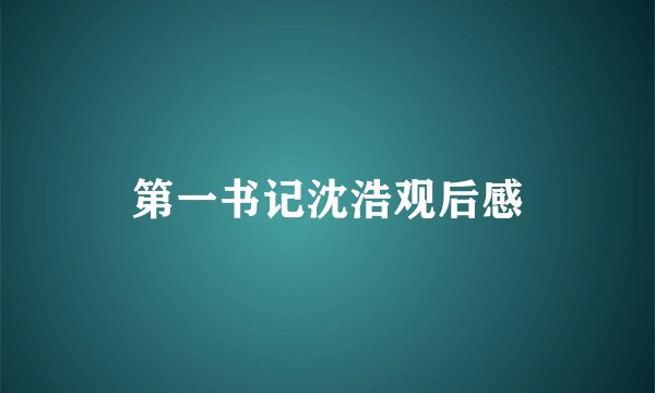 第一书记沈浩观后感