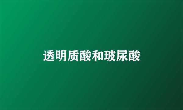 透明质酸和玻尿酸