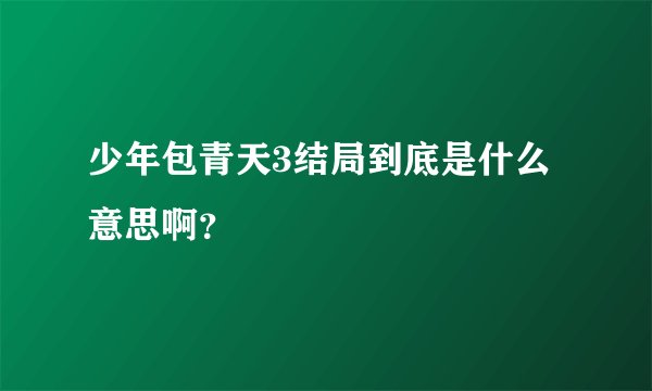 少年包青天3结局到底是什么意思啊?