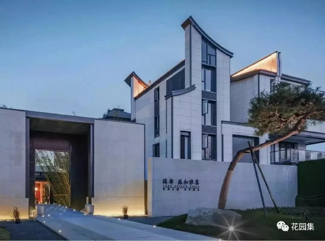 造型松,无奇不自由!气质庭院必备元素