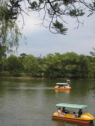 郑爽手机掉湖里,你觉得划船是否不应该玩手机?