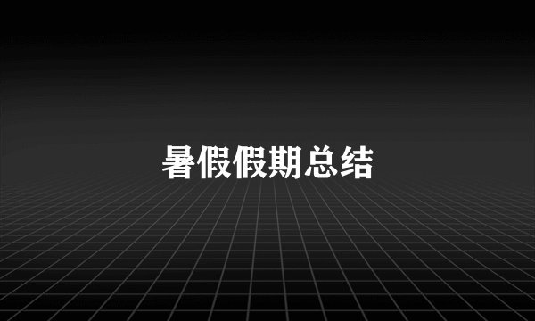 暑假假期总结