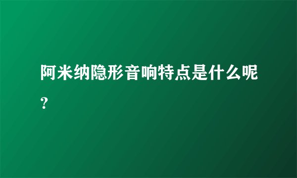 阿米纳隐形音响特点是什么呢？