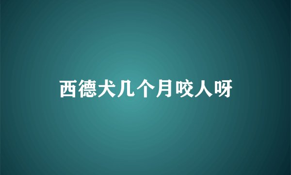 西德犬几个月咬人呀
