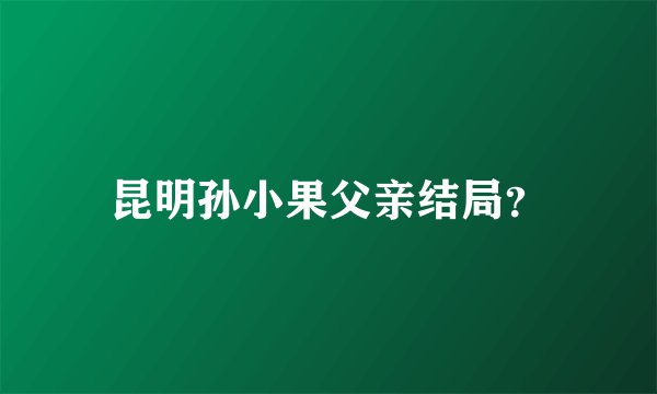 昆明孙小果父亲结局？
