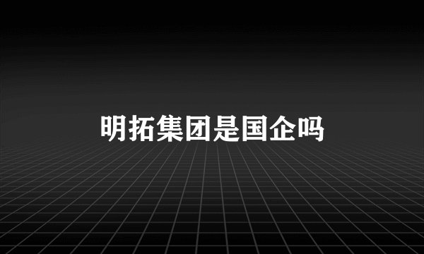 明拓集团是国企吗