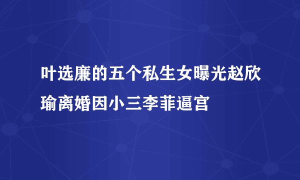 叶选廉的五个私生女曝光赵欣瑜离婚因小三李菲逼宫