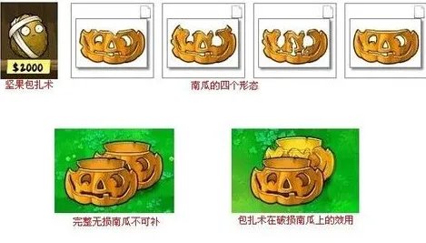 植物大战僵尸中的坚果愈合术怎么用?