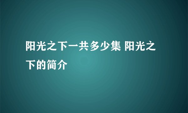 阳光之下一共多少集 阳光之下的简介