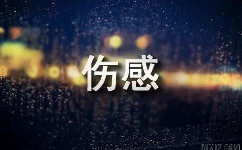 伤感日记