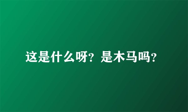 这是什么呀？是木马吗？