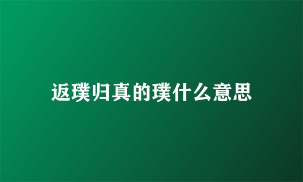 返璞归真的璞什么意思