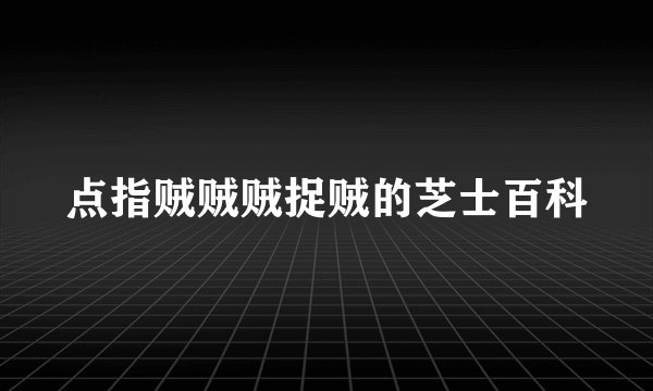 点指贼贼贼捉贼的芝士百科