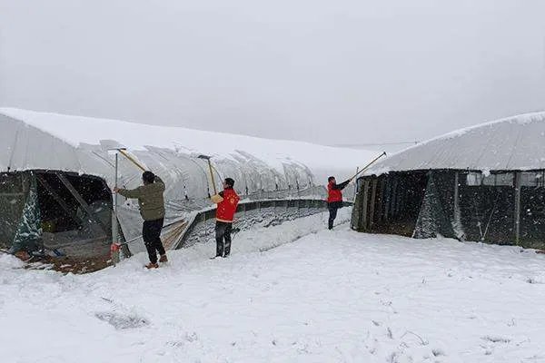 氛围感拉满！西安迎来今冬初雪，此次寒潮为什么来的这么急？