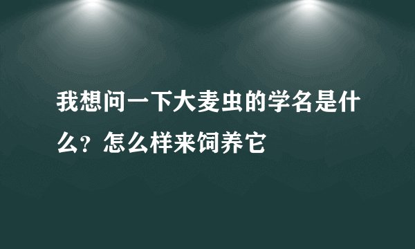 我想问一下大麦虫的学名是什么？怎么样来饲养它