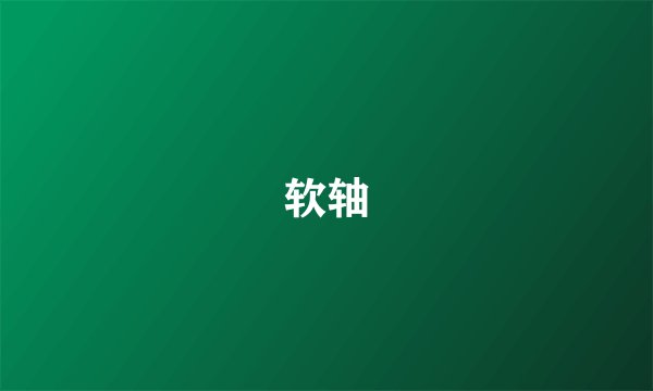 软轴