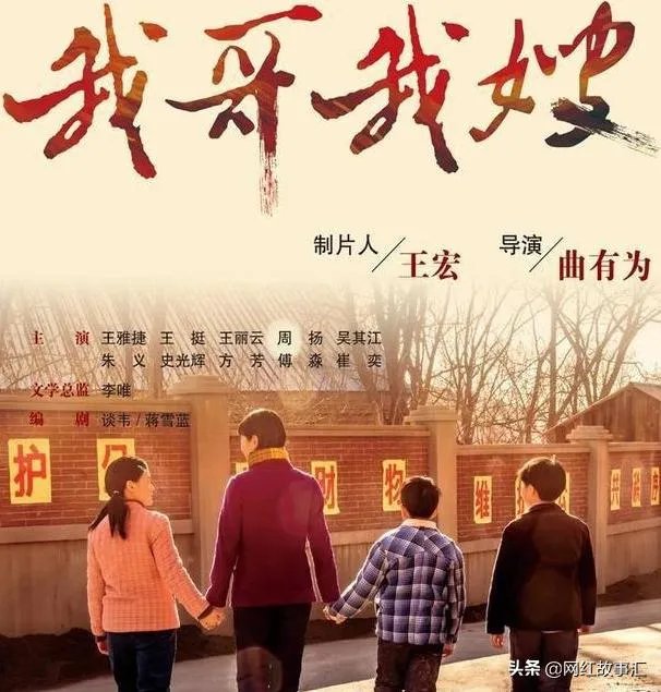 如何评价电视剧《我哥我嫂》?