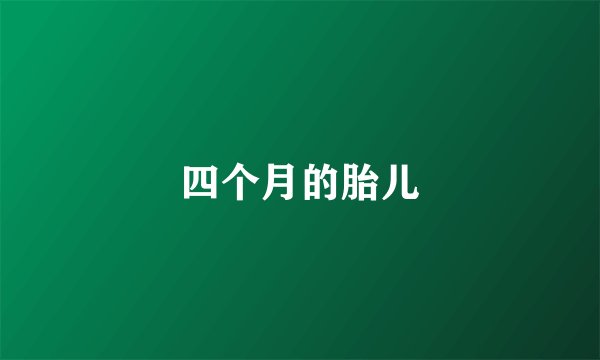 四个月的胎儿