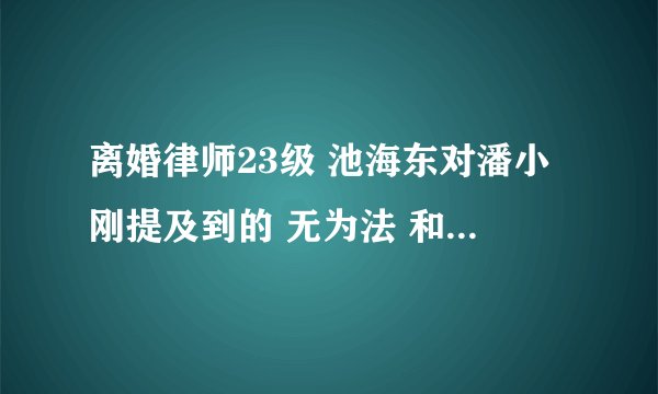 离婚律师23级 池海东对潘小刚提及到的 无为法 和有为法 是什么意思？