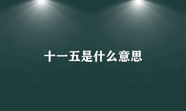 十一五是什么意思