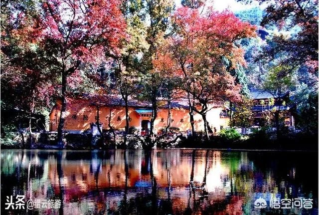 浙江一大爷做烧饼被称为“烧饼一哥”,年薪35万,这事你怎么看?
