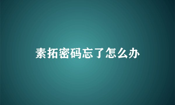 素拓密码忘了怎么办