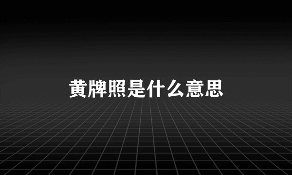 黄牌照是什么意思