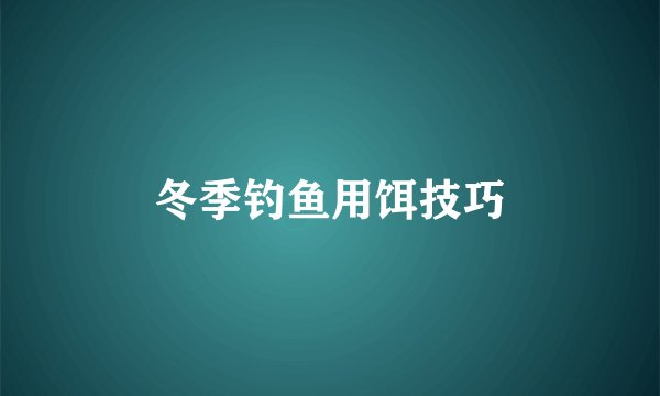 冬季钓鱼用饵技巧
