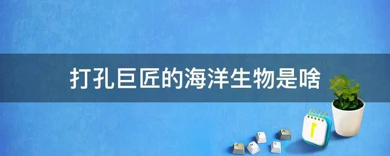 打孔巨匠的海洋生物是啥