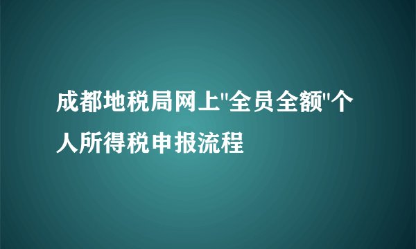 成都地税局网上