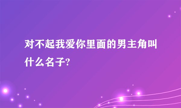 对不起我爱你里面的男主角叫什么名子?