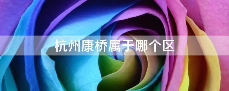 杭州康桥属于哪个区
