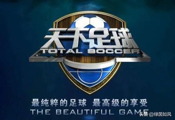 怎么评价《天下足球》评选的“黄金十年”最佳阵容?