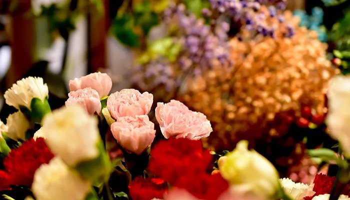 教师节给老师送什么花比较合适