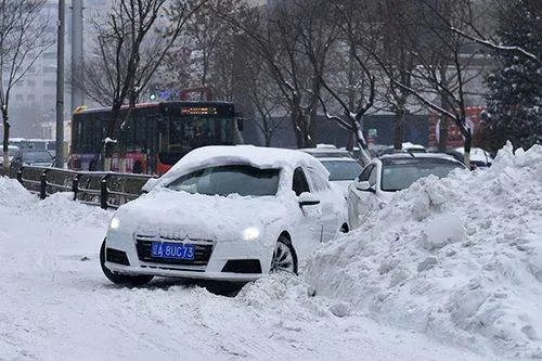 氛围感拉满！西安迎来今冬初雪，此次寒潮为什么来的这么急？