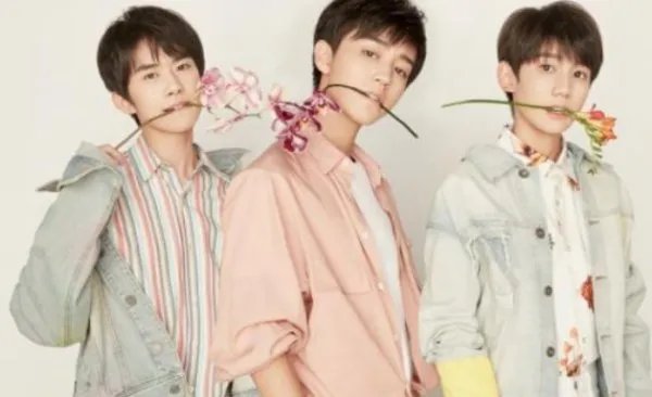 TFBOYS粉丝为什么被批?