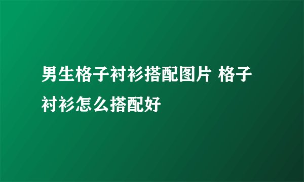 男生格子衬衫搭配图片 格子衬衫怎么搭配好