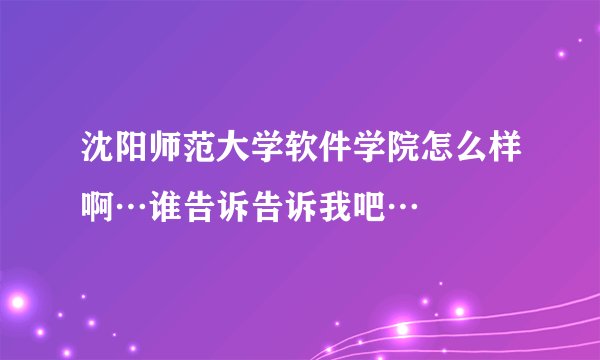 沈阳师范大学软件学院怎么样啊…谁告诉告诉我吧…