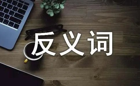 情愿的反义词